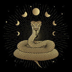 Wall Mural - Magical golden snake with moon phase decoration