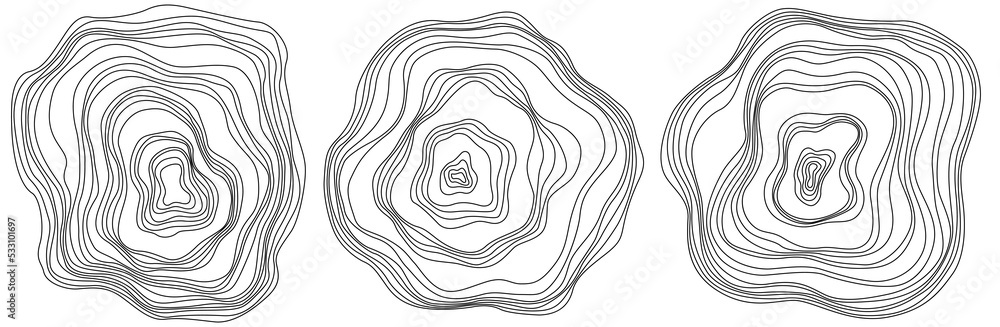 Abstract tree rings. Png topographic map concept background. Thin black ...