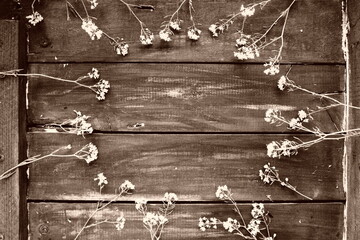 rapeseed flowers laid out in a circle on wooden table. Wildflowers are arranged on the table. Copy space still life. Free space for text. Brassica napus Cabbageaceae. Sepia monochrome photo.
