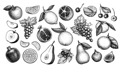 Canvas Print - fruits big collection.
