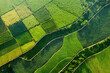 The beautiful landscape of rice fields