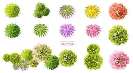 Vector watercolor of blooming tree top view isolated on white background for landscape plan and architecture drawing, elements for environment and garden,botanical elements ,blooming flowers 