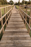 Fototapeta Pomosty - wooden bridge in the park