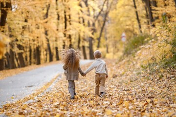 Wall Mural - Backside photo of a fashion little girl and boy walking in autumn park