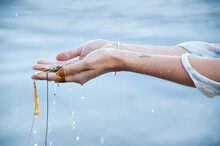 Hands Flowing With Ocean Water And Sea Kelp. 