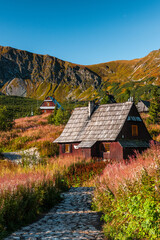 Poster - Wooden shelter in Carpathia Mountains. Meadows on Hala Gasienicowa in Tatras, Poland