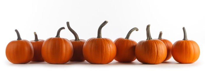 Wall Mural - Many orange pumpkins on white