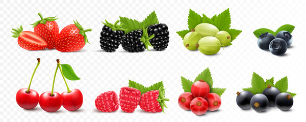 Wall Mural - berries mix - strawberry, raspberry, blackberry, gooseberry, cherry, currant and blueberry with gree