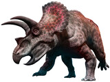 Fototapeta Dinusie - Triceratops from the Cretaceous era 3D illustration