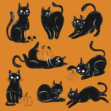 Hand Drawn Halloween Black Cats Collection Vector Design Illustration