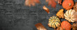 A seasonal thanksgiving fall background with pumpkins and falling leaves. Autumn halloween season layout.
