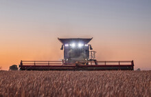 Agriculture: Combine Harvester With Headlight Illuminating Wheat Field As Evening Turns Into Night