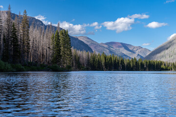 Wall Mural - Beautiful Cameron Lake in Waterton Lakes National Park Canada