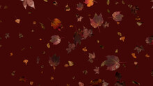 Fall Themed Background, With Leaves Against Dark Red Color. Holiday Banner With Copy-space.