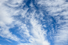 Vibrant Blue Sky And Feathery White Cloudscape As A Nature Background
