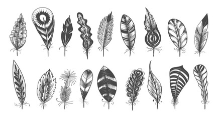 Wall Mural - ethnic feathers sketch