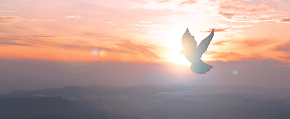 doves fly in the sky. christians have faith in holy spirit. silhouette worship to god with love fait