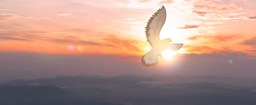 doves fly in the sky. christians have faith in holy spirit. silhouette worship to god with love fait