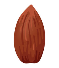 Poster - almond seed product