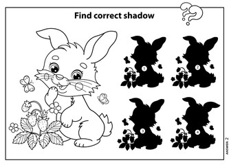 Wall Mural - Puzzle Game for kids. Find correct shadow. Coloring Page Outline Of cartoon cute bunny or rabbit with strawberries and butterflies. Coloring book for children.