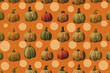 Orange, Green, Red, Yellow, Autumn Pumpkin Pattern, Halloween Theme, Halloween Pattern Collection 1