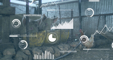 Sticker - Image of financial data processing over chickens and pigs at farm