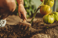 Hand Of Farmer Digging Soil With Gardening Fork