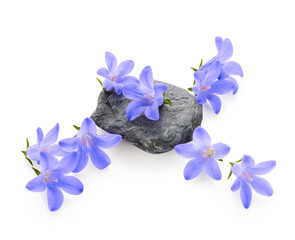 Wall Mural - Blue flowers arrangement with stone isolated on white background