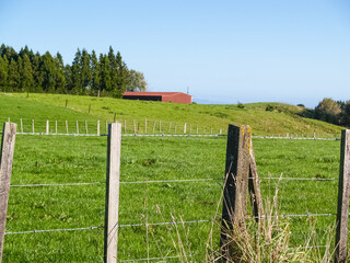 Wall Mural - Fence and fields from roadside