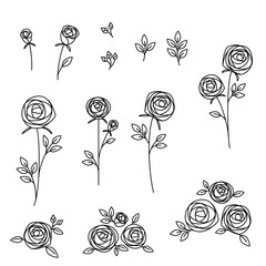 Wall Mural - hand drawn roses illustration