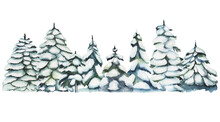Watercolor Snowy Fir Trees Illustration, Winter Forest Hand Drawn Isolated On White Background