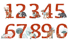 Set Of Red Numbers With Winter Snowy Trees And Forest Animals, Isolated Illustration On White Background