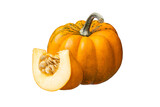 Fototapeta  - Whole orange pumpkin and slice of pumpkin isolated on white background. Clipping Path. Full Depth of field. Focus stacking