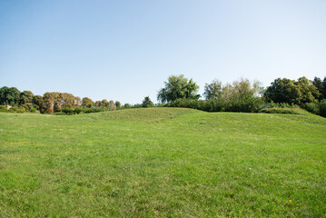 Poster - green park, landscape with grass and sky