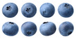 Collection or set of various fresh ripe blueberries on white background