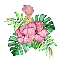 Wall Mural - Tropical plant watercolor decoration  illustration.