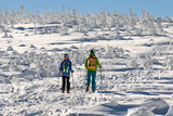 Fototapeta  - ski touring beskidy zimowa górska wycieczka na nartach