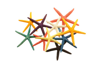 Wall Mural - colored starfish summer objects isolated on transparency photo png file