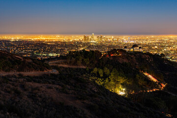 Wall Mural - Night view of the Los Angeles cityscape with Griffith Observatory