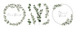 © DOROTHEA - Floral Wreath collection on white background. Set frame of eucaliptus branches. Round icon in a trendy minimalistic linear style. Vector Floral logo.