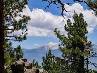 Wall Mural - Sunny view of the landscape in Big bear lake area