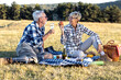 © pucko_ns - Senior couple make picnic on nature with blanket full of food, he drink vine while she holding red apple and talk to each other