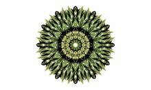 Green Black Mandala, Mandala Vector, Floral Mandala Pattern, Luxury Floral Mandala Design Vector Background  Vintage Abstract Floral Pattern Design T Shirt Design