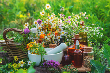 medicinal herbs and tinctures alternative medicine. selective focus.