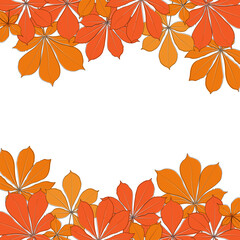 Wall Mural - Border of vector chestnut leaf outline. Simple outline chestnut leaves illustration for frame and web banner. Realistic hand drawn leaves illustration set on white background.