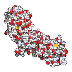 Canvas Print - Tissue factor (TF, extracellular part) protein. Essential in extrinsic pathway of blood coagulation.