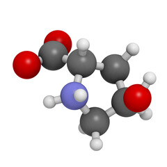 Sticker - Hydroxyproline (Hyp) collagen building block, molecular model