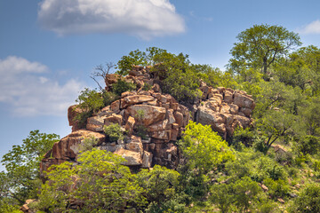 Canvas Print - Rocky outcrop or koppie Phalaborwa