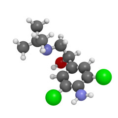 Wall Mural - Clenbuterol asthma drug, molecular model