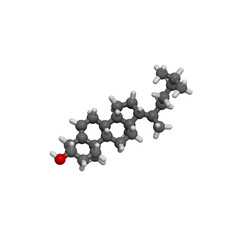 Poster - Cholesterol molecule. Essential component of cell membranes and precursor of steroid hormones, bile acids and vitamin D. 3D rendering.